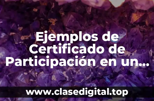 Ejemplos de Certificado de Participación en un Curso