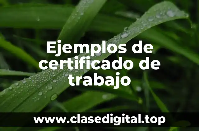 Ejemplos de certificados de trabajo