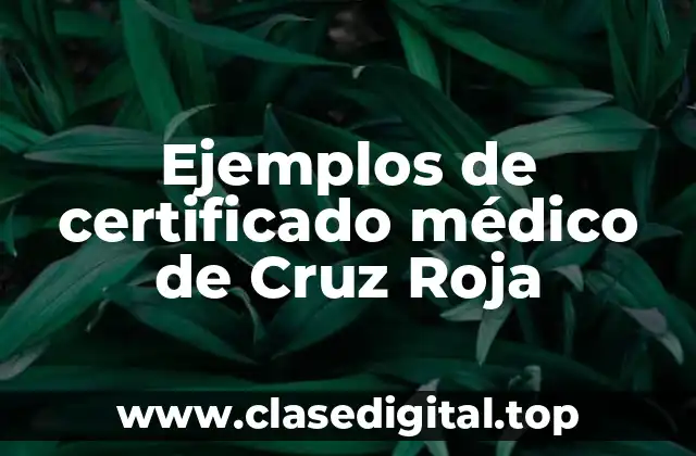 Ejemplos de certificado médico de Cruz Roja