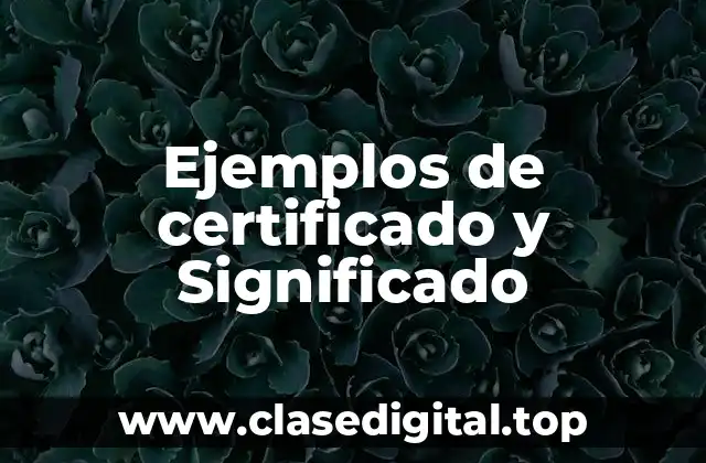 Ejemplos de certificado y Significado
