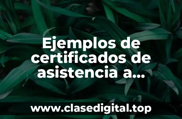 Ejemplos de certificados de asistencia a seminarios