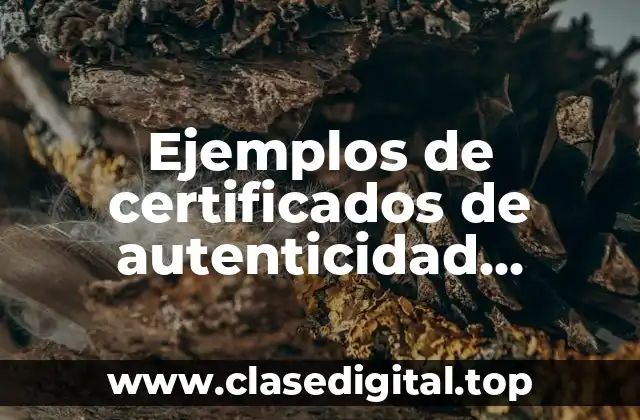 Ejemplos de certificados de autenticidad software