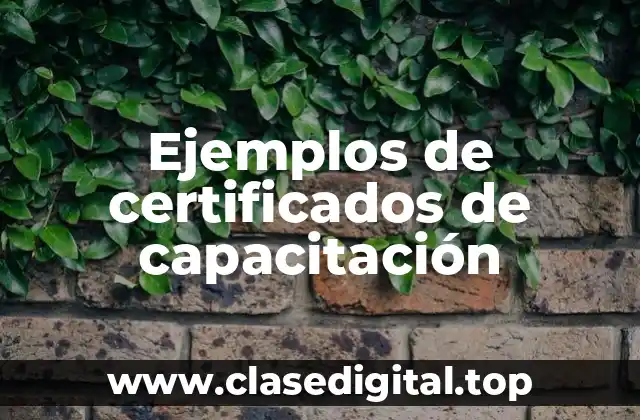 Ejemplos de certificados de capacitación