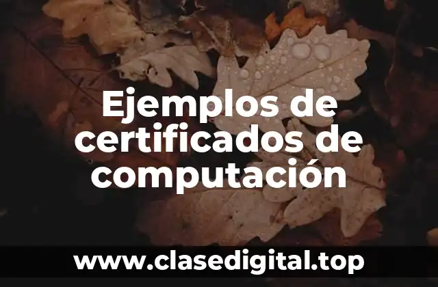 Ejemplos de certificados de computación