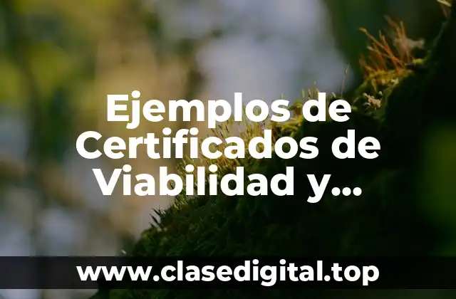 Ejemplos de Certificados de Viabilidad y Significado
