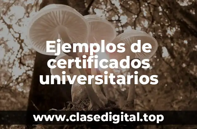 Ejemplos de certificados universitarios