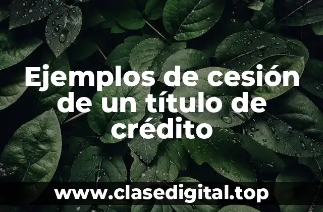 Ejemplos de cesión de un título de crédito
