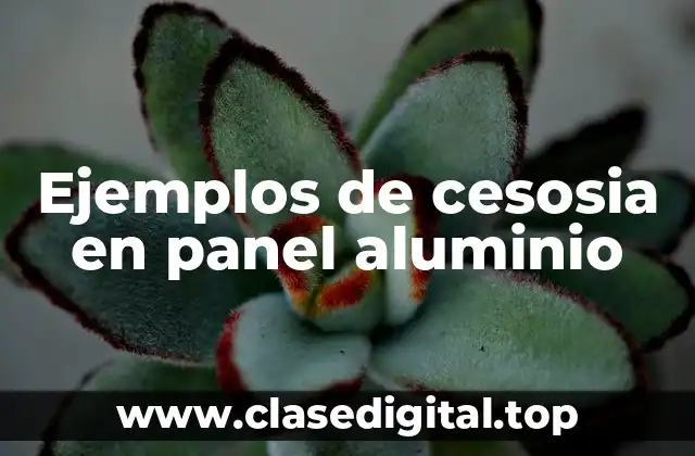 Ejemplos de cesosia en panel aluminio