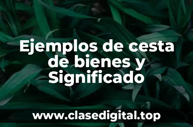 Ejemplos de cesta de bienes y Significado