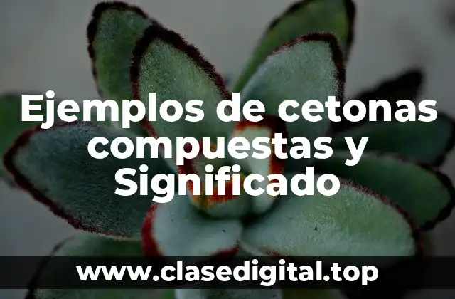 Ejemplos de cetonas compuestas y Significado