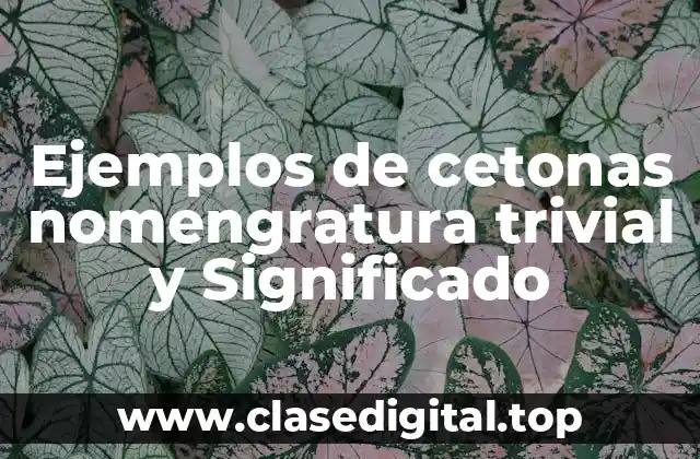 Ejemplos de cetonas nomengratura trivial y Significado