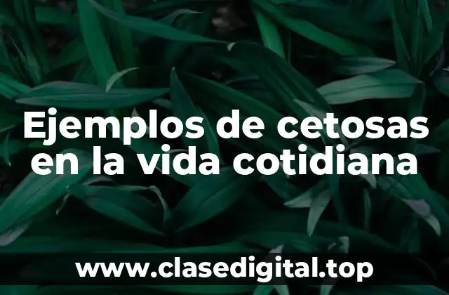 Ejemplos de cetosas