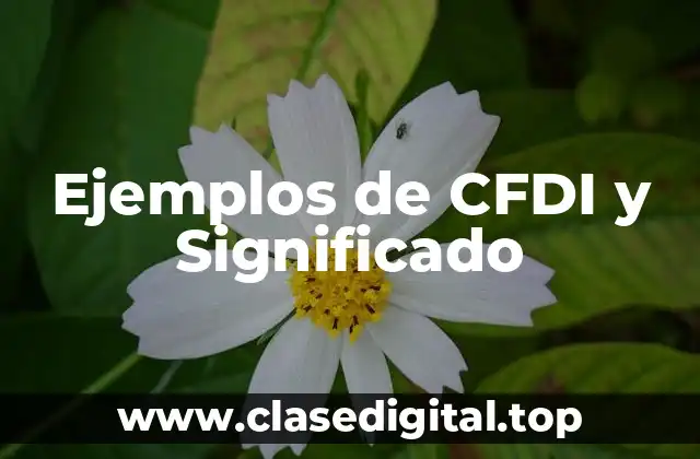 Ejemplos de CFDI y Significado