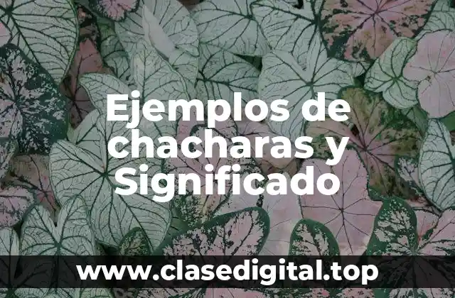 Ejemplos de chacharas y Significado