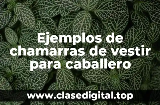 Ejemplos de chamarras de vestir para caballero