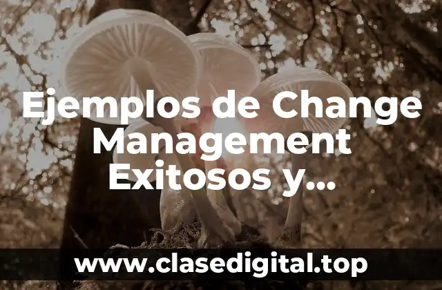 Ejemplos de Change Management Exitosos