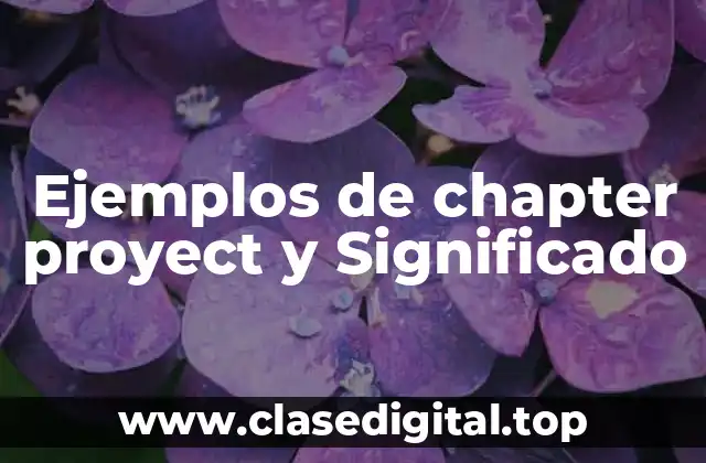 Ejemplos de chapter proyect y Significado