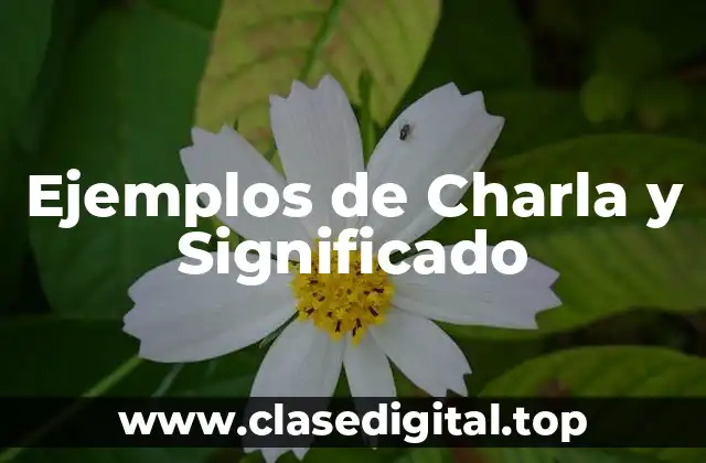Ejemplos de Charla y Significado