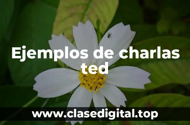 Ejemplos de charlas ted