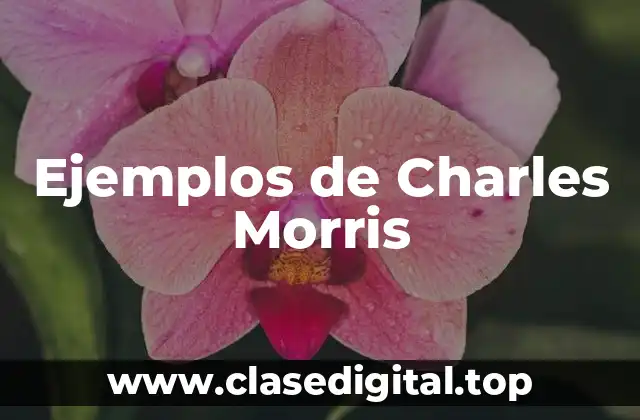 Ejemplos de Charles Morris