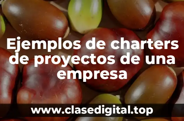 Ejemplos de charters de proyectos de una empresa