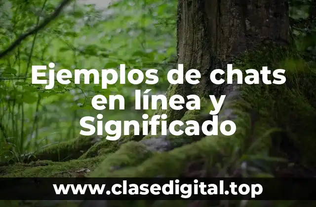 Ejemplos de chats en línea