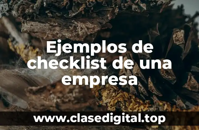 Ejemplos de checklist de una empresa