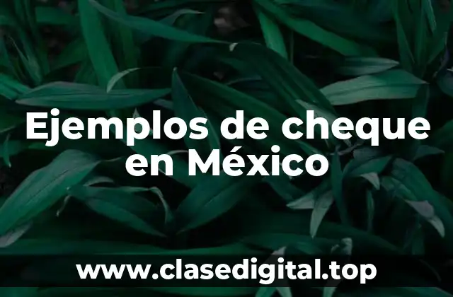 Ejemplos de cheque en México