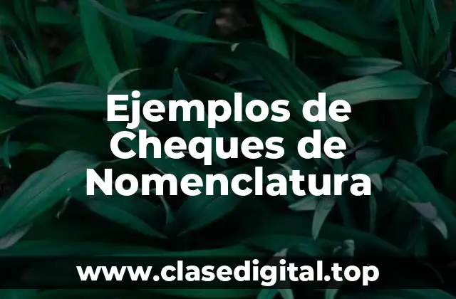 Ejemplos de Cheques de Nomenclatura