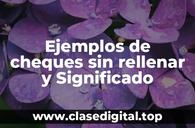 Ejemplos de cheques sin rellenar y Significado
