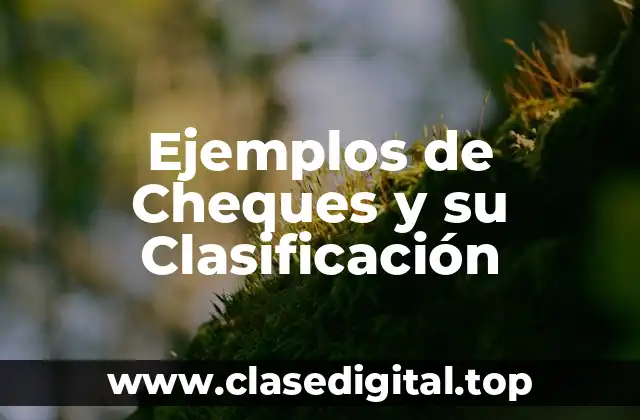 Ejemplos de Cheques y su Clasificación