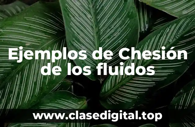 Ejemplos de Chesión de los fluidos
