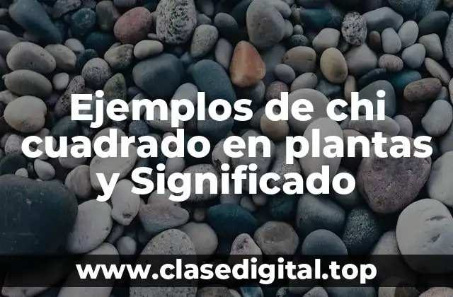 Ejemplos de chi cuadrado en plantas