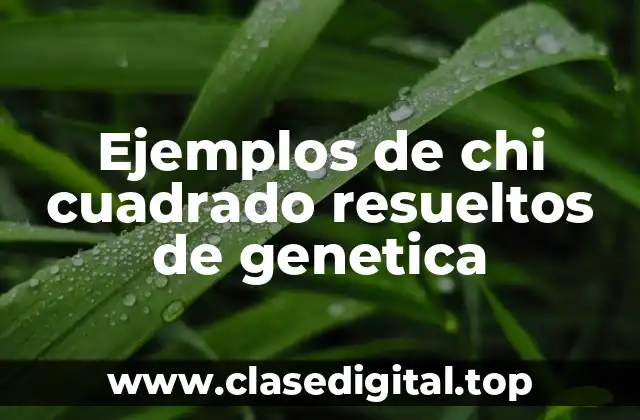 Ejemplos de chi cuadrado resueltos de genetica