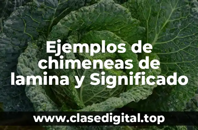 Ejemplos de chimeneas de lamina y Significado