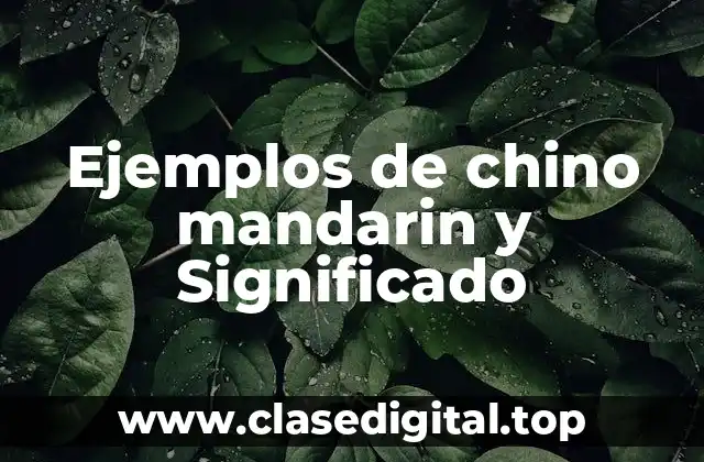 Ejemplos de chino mandarin y Significado
