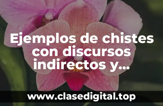 Ejemplos de chistes con discursos indirectos y Significado