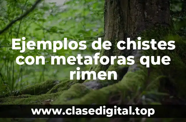 Ejemplos de chistes con metaforas que rimen