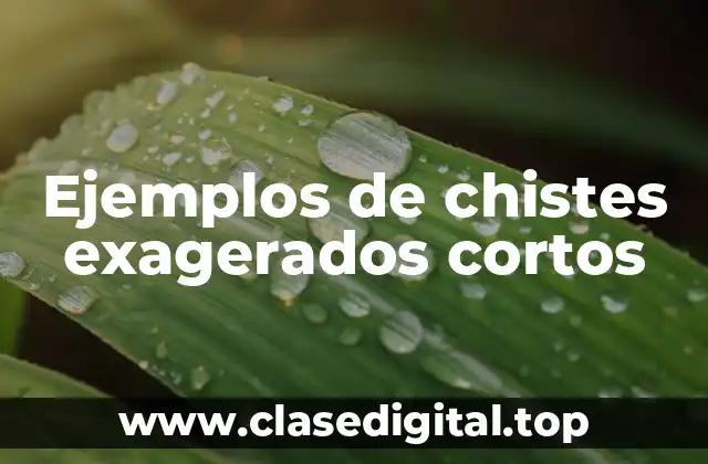 Ejemplos de chistes exagerados cortos