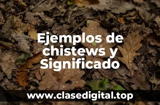 Ejemplos de chistews