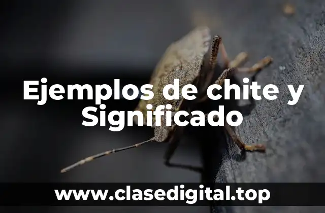 Ejemplos de chite y Significado