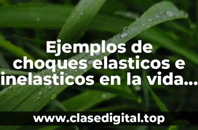 Ejemplos de choques elasticos e inelasticos en la vida cotidiana