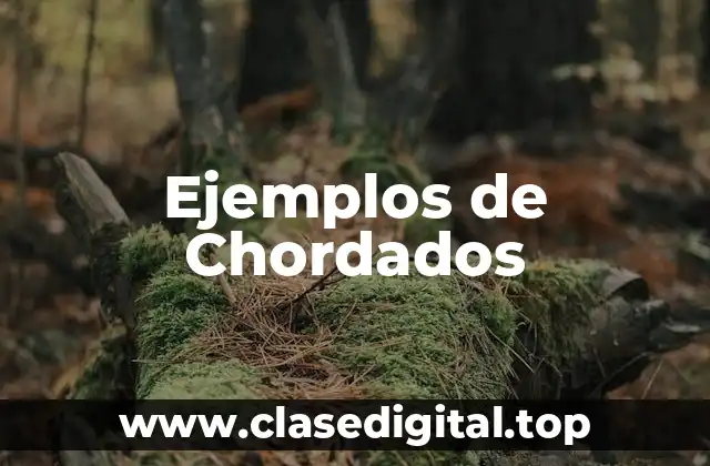 Ejemplos de Chordados