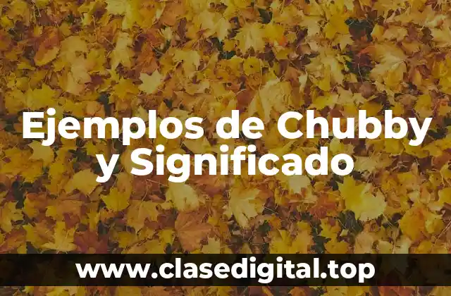 Ejemplos de Chubby y Significado
