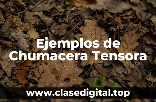 Ejemplos de Chumacera Tensora