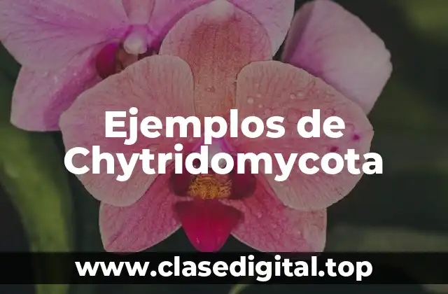 Ejemplos de Chytridomycota