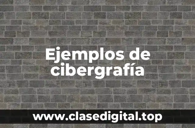 Ejemplos de cibergrafía
