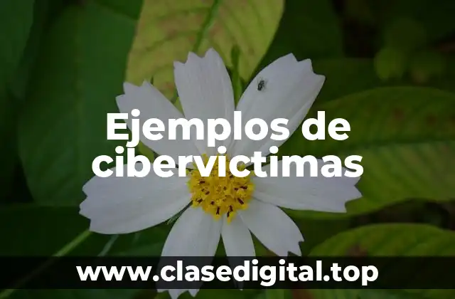 Ejemplos de cibervictimas