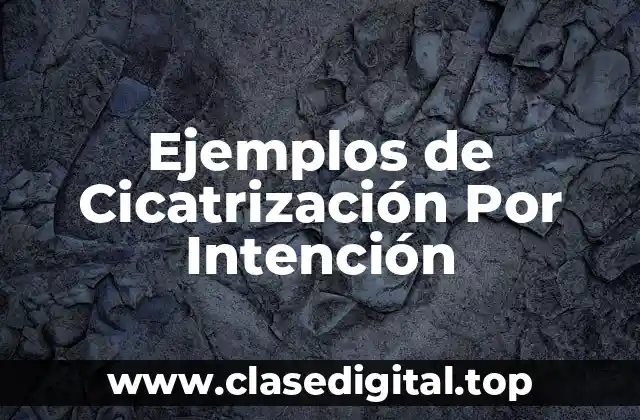 Ejemplos de Cicatrización Por Intención