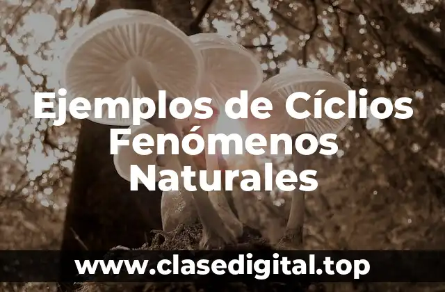 Ejemplos de Cíclios Fenómenos Naturales